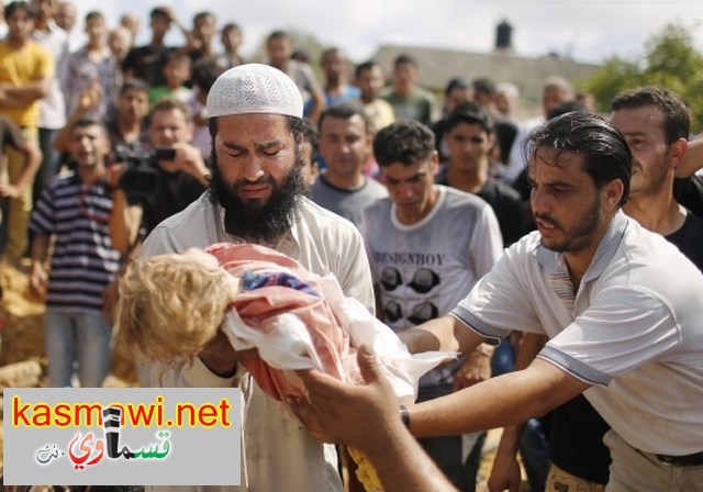 عاجل : 90 شهيدًا ومئات الجرحى حصيلة مذبحة الشجاعية وأبو مازن يعلن الحداد ثلاثة ايام